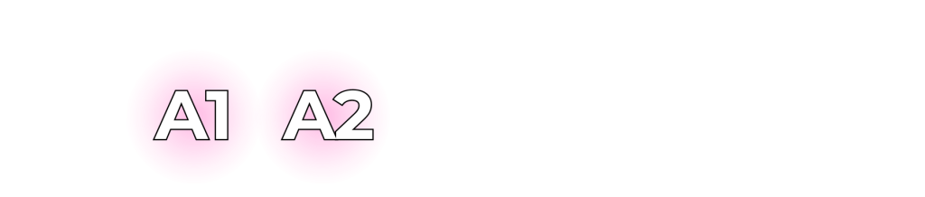 Curso de intensivo nível básico